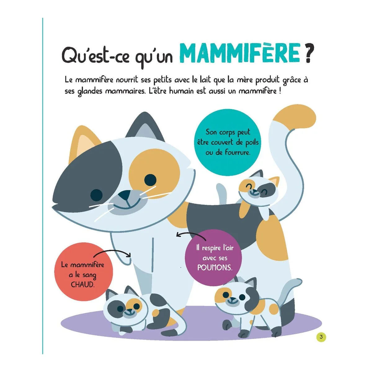 Miniature 3